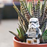 storm trooper team in farming garden | Cool Star Wars Planters for your Galaxy-themed Garden | star wars planter | featured