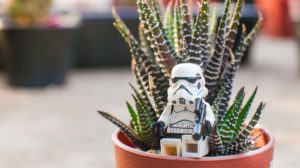 storm trooper team in farming garden | Cool Star Wars Planters for your Galaxy-themed Garden | star wars planter | featured