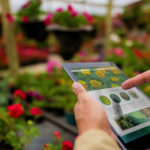 Using a tablet computer at a garden center | Best Gardening Apps You Need To Download Now | best gardening apps | featured