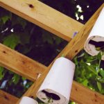 plants growing in pots upside-down | How To Make A DIY Upside Down Planter | upside down tomato planter | featured