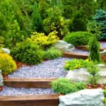 Designer garden with fresh plants and stones | Summer Landscape Ideas And Tips For Your Summer Garden | garden tips | featured