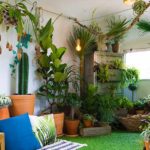 Little garden inside a small room | Apartment Gardening: Garden Season Ultimate Beginner’s Guide | potted plants | featured