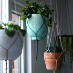 potted hanging plants | 11 Best Indoor Hanging Plants You Won’t Kill So Easily | best hanging plants | featured