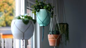 potted hanging plants | 11 Best Indoor Hanging Plants You Won’t Kill So Easily | best hanging plants | featured