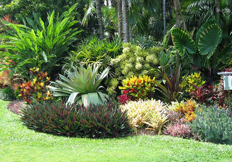 tropical landscaping | Best Garden Theme Ideas To Freshen Up Your Garden | garden ideas