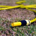 dry grass during a hot summer day | Ways To Revive Dead Grass And Bring Your Lawn Back To Life | lawn care | featured