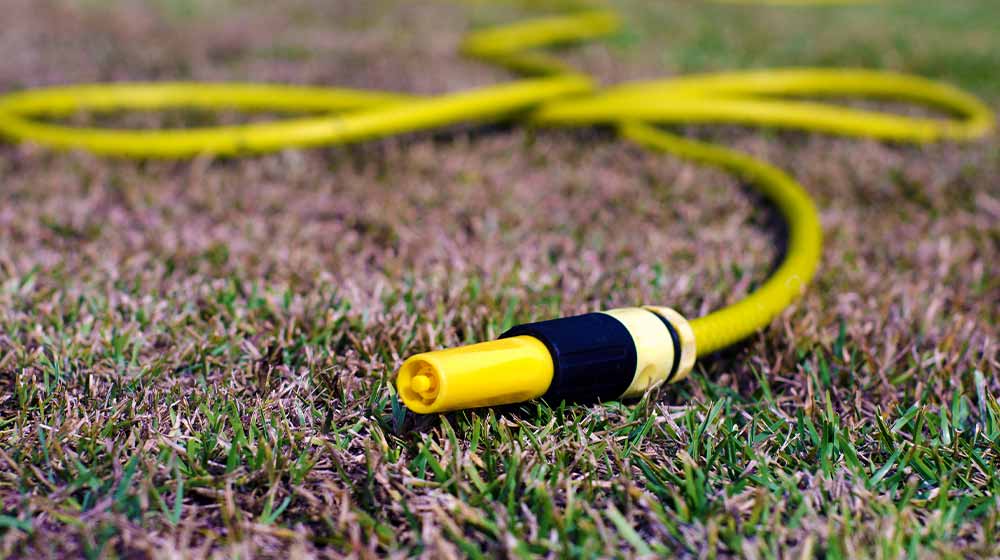 dry grass during a hot summer day | Ways To Revive Dead Grass And Bring Your Lawn Back To Life | lawn care | featured