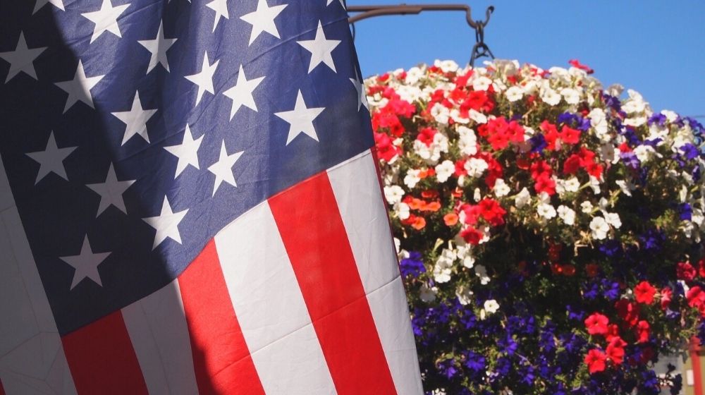 labor day america usa flag | 15 Best Red, White, and Blue Flowers For Your Labor Day Decorations | Featured