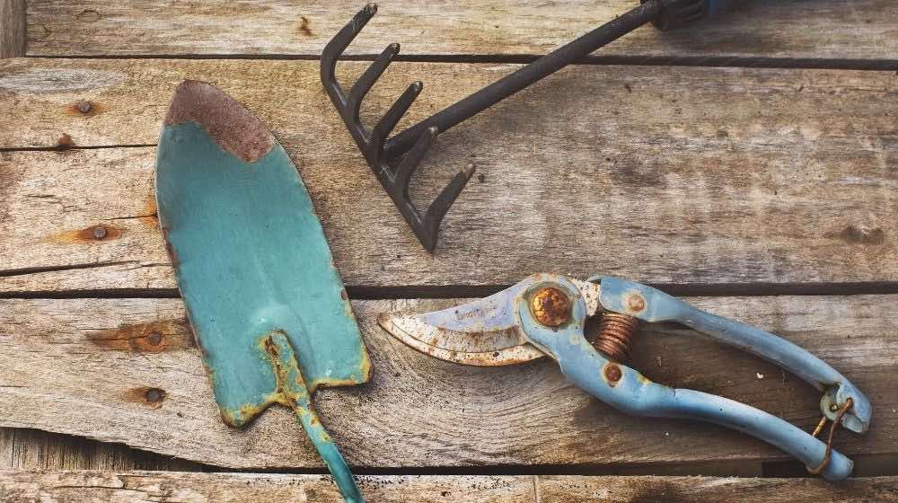 old rusted garden tools | How To Remove Rust From Your Gardening Tools | Featured
