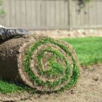 sod new lawn soil | How To Choose The Best Type Of Lawn Soil For Your Garden | Featured