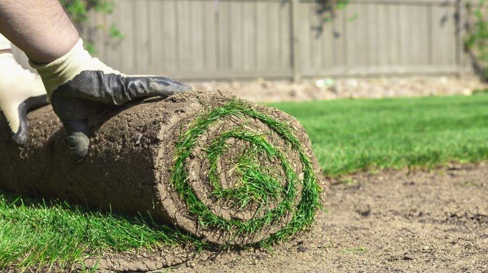 sod new lawn soil | How To Choose The Best Type Of Lawn Soil For Your Garden | Featured