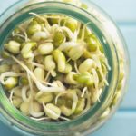 sprouted mung beans jar | Grow Sprouts At Home The Easy Way | Two Ways | Featured