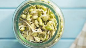 sprouted mung beans jar | Grow Sprouts At Home The Easy Way | Two Ways | Featured