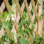 sugar snap peas growing trellis organic | Easy DIY Garden Trellis Projects | Featured