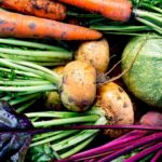 turnips, beetroots, carrots, roundmarrow | Fall Vegetables You Should Start Planting Now | Featured