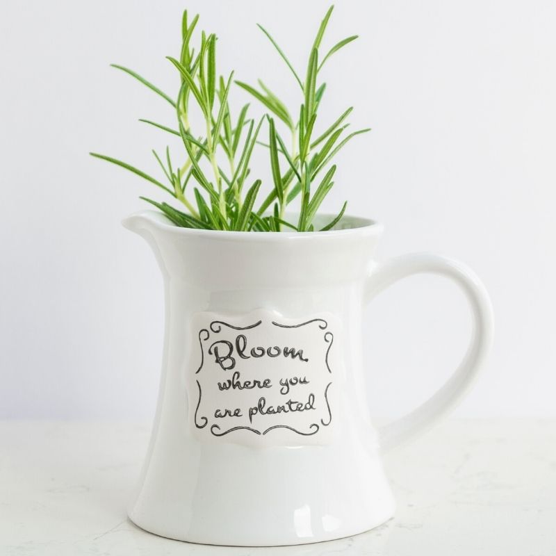 cute white planter cup that says bloom where you are planted | Adorable Coffee Mug Planter Ideas For Your Succulents