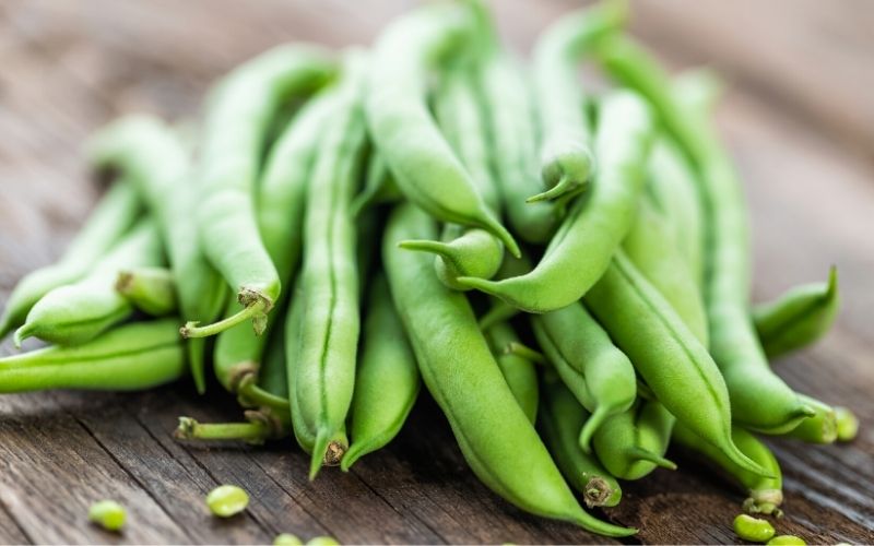 green beans | fall season