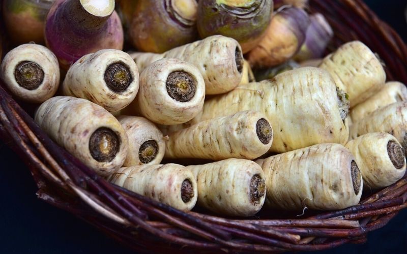parsnips root vegetables | How To Grow Parsnips For A Fresh Fall Harvest