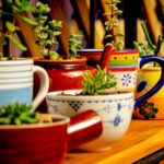 colorful mug planter | Adorable Coffee Mug Planter Ideas For Your Succulents | Featured