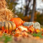 pumpkin harvest besides a stack of hey | Outdoor Fall Decor Ideas To Freshen Up Your Garden | Featured