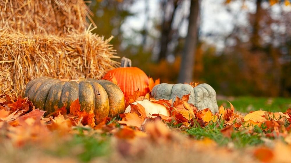 pumpkin harvest besides a stack of hey | Outdoor Fall Decor Ideas To Freshen Up Your Garden | Featured