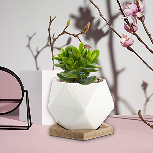 Set of 6 White Ceramic Succulent Cactus Planter Pots with Bamboo Tray Succulent Pots OAMCEG 3.54 inch Geometric Succulent Planter Plants NOT Included