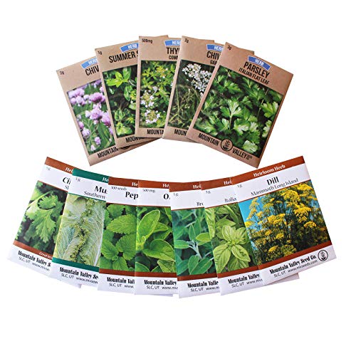 Living Foods Assortment of 12 Culinary Herb Seeds - Non-GMO | Grow Cooking Parsley, Thyme, Cilantro, Basil, Dill, Oregano, Sage & - Garden Season