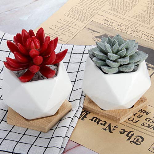 Set of 6 White Ceramic Succulent Cactus Planter Pots with Bamboo Tray Succulent Pots OAMCEG 3.54 inch Geometric Succulent Planter Plants NOT Included