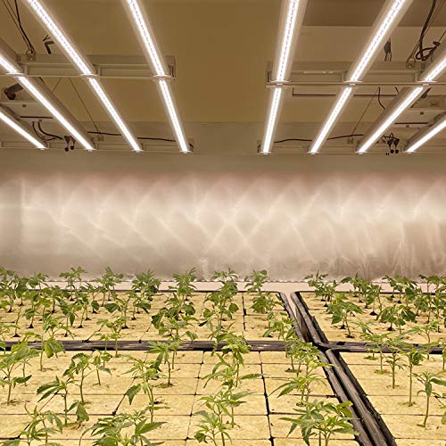 commercial grow lights