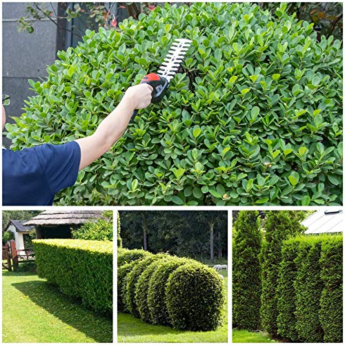 ZAKER 7.2V 2-in-1 Battery Garden Grass Shear Rechargeable Lithium-Ion Shrubbery Trimmer Cordless Handheld Hedge Trimmer Included Charger 2 Kinds of Blade 