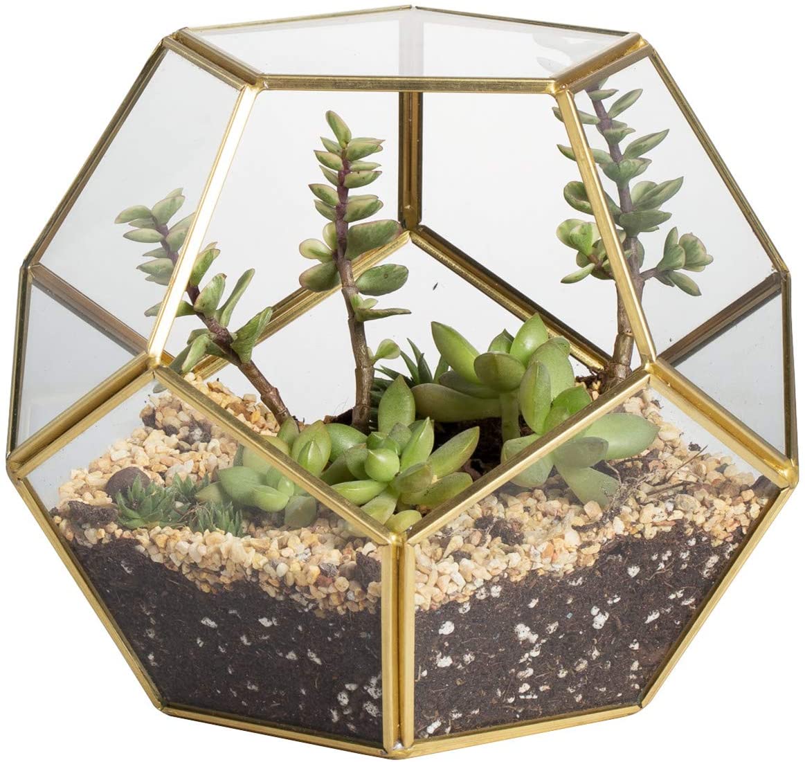 Glass Terrarium Succulent Air Plant Greenhouse Planter Holder Miniature Case 