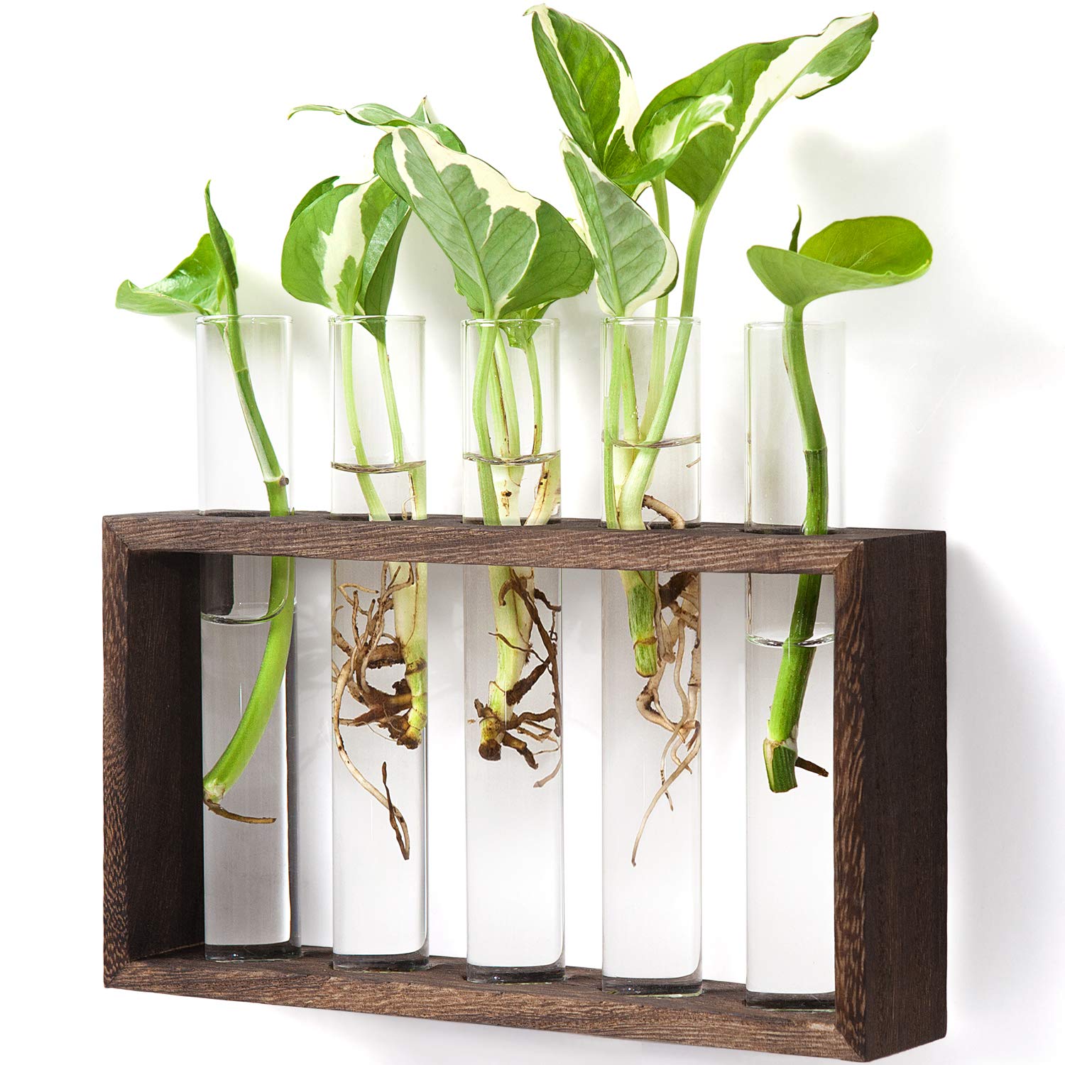 Plant Terrarium Transparent Desktop Glass Planter Test Tube Vase with Natural Log Wooden Stand for Hydroponics Plants Home Garden Wedding Decor 