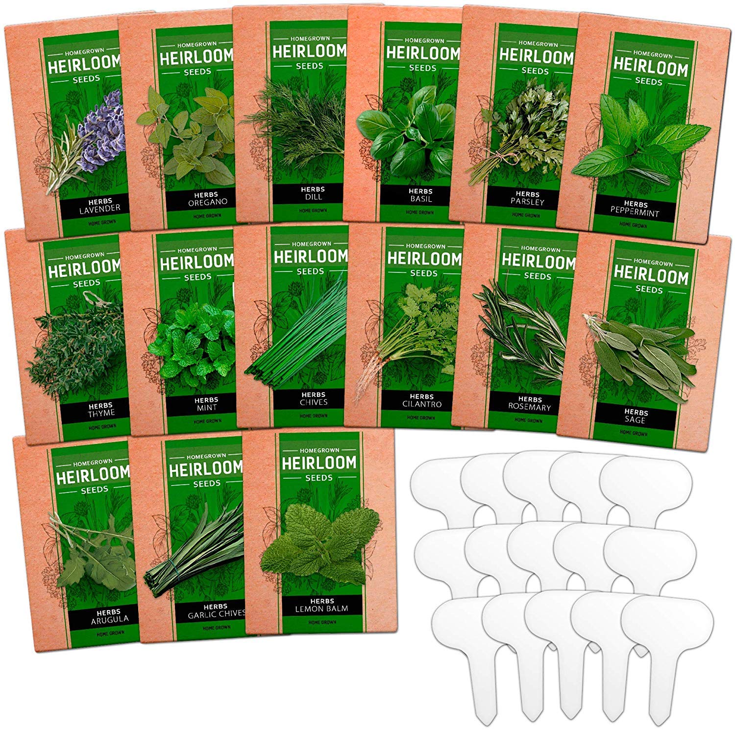 Variety Pack Non GMO Cilantro Chives Basil Herb Seeds 