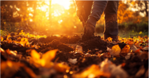 Autumn Soil Preparation for a Thriving Spring Garden