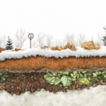 Winter Composting: Keep Your Compost Pile Hot All Season