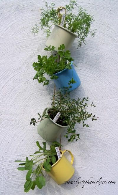 Garden Season l DIY Charming Teacup Planters l See more at https://gardenseason.com/diy-charming-teacup-planters
