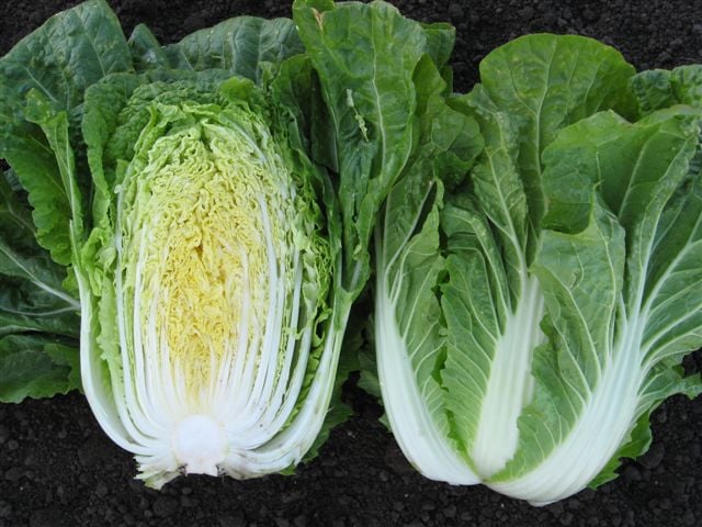 waltz cut | Growing Food From Scraps | Kitchen Scraps You Can Regrow |regrrow vegetables