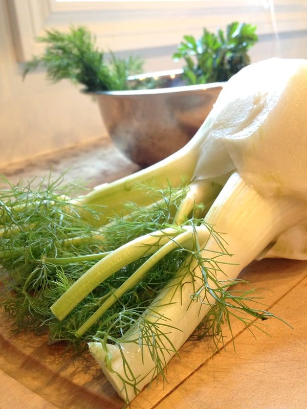 Fennel