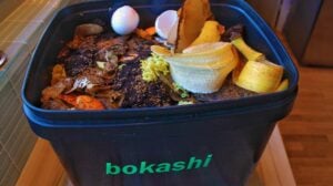 A bucket filled with bokashi | Everything You Need To Know About Bokashi Composting | food scraps | featured