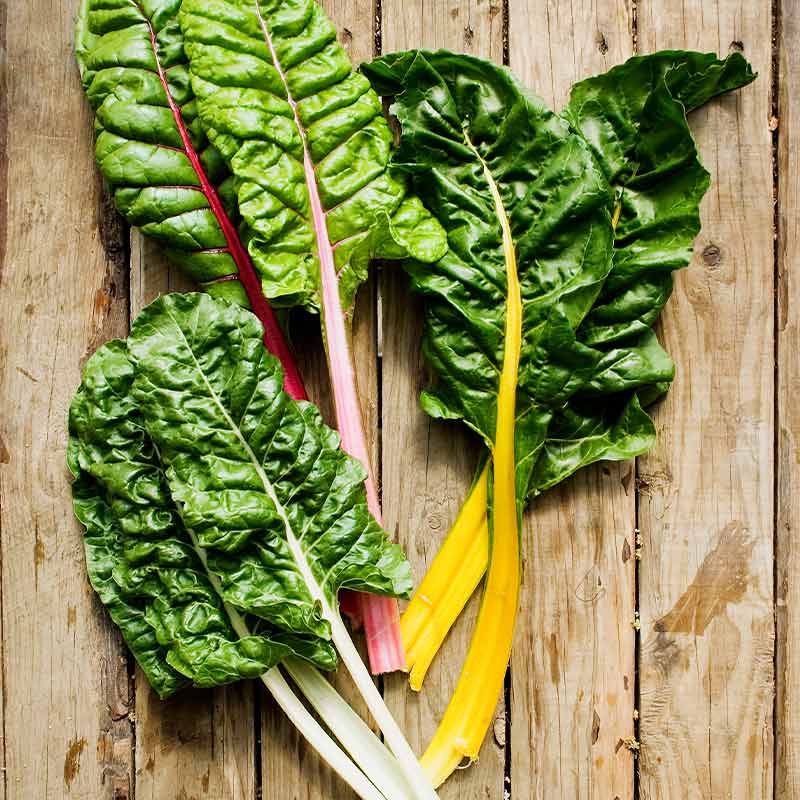 A variety of different types of spinaches | growing spinach