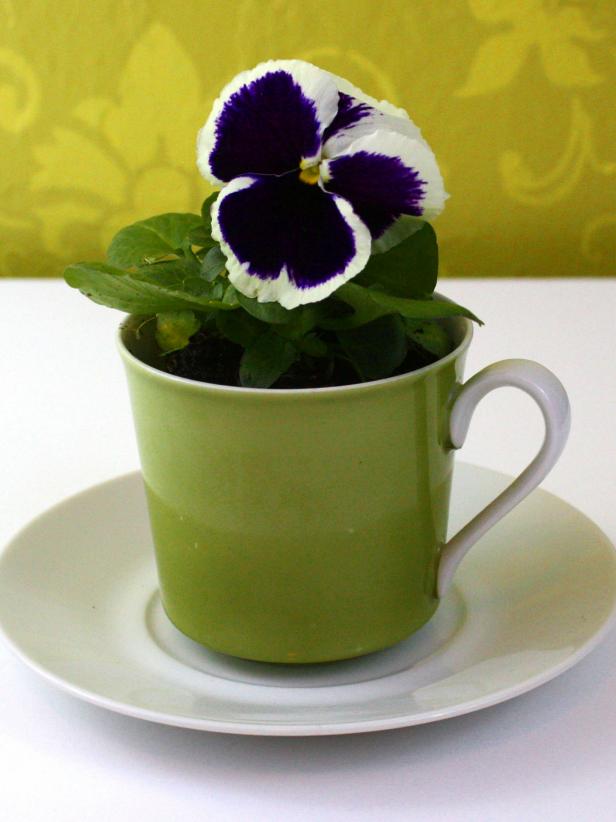 Garden Season l DIY Charming Teacup Planters l See more at https://gardenseason.com/diy-charming-teacup-planters