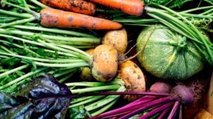 turnips, beetroots, carrots, roundmarrow | Fall Vegetables You Should Start Planting Now | Featured