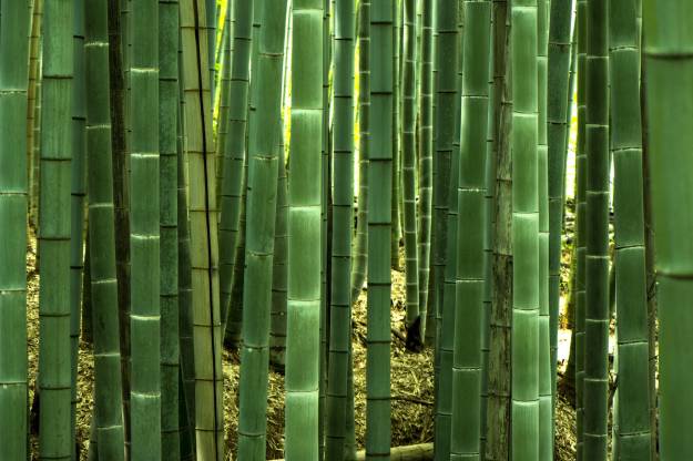 Pavilion | Create An Authentic Japanese Garden With These Essential Items