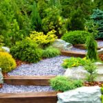 Designer garden with fresh plants and stones | Summer Landscape Ideas And Tips For Your Summer Garden | garden tips | featured