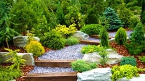 Designer garden with fresh plants and stones | Summer Landscape Ideas And Tips For Your Summer Garden | garden tips | featured
