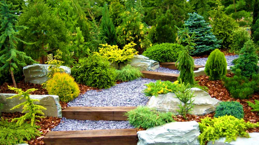Designer garden with fresh plants and stones | Summer Landscape Ideas And Tips For Your Summer Garden | garden tips | featured