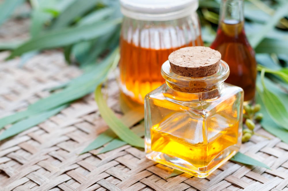 Eucalyptus oil | The Best Homemade Dog Repellent For Your Garden | essential oils