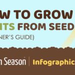 feature image | How To Grow 17 Fruits From Seeds [INFOGRAPHIC]