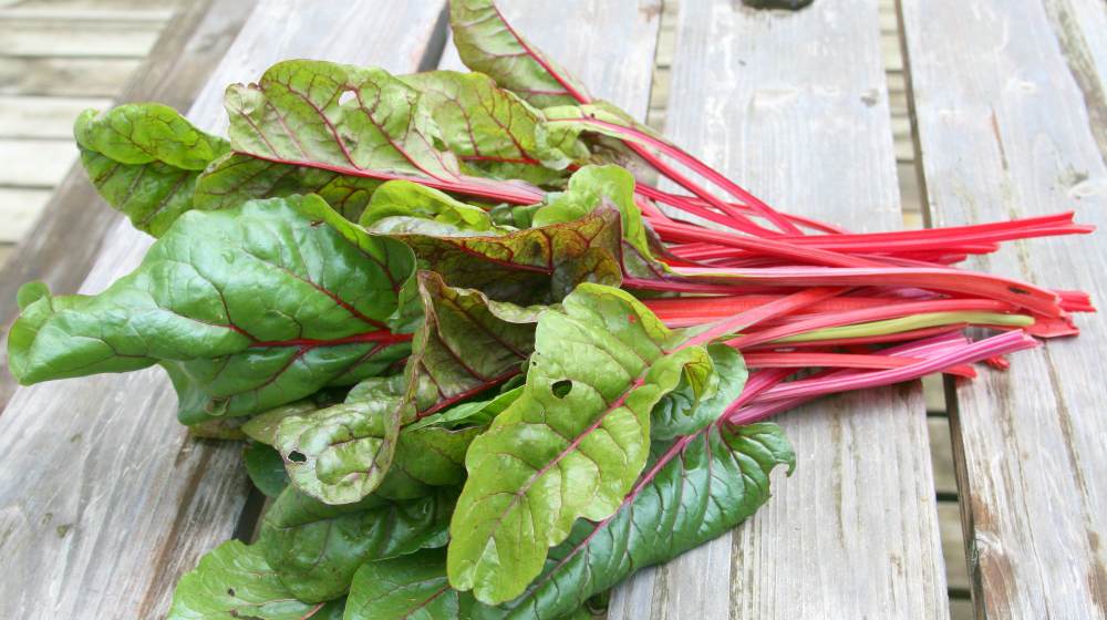 freshly picked green and red colored swiss chard on table | Spring Vegetable Garden Plants Perfect For Spring Growing Season | vegetable garden plants | best spring vegetables to grow