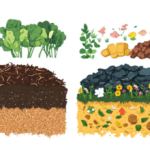 The Truth About Mulch: What Works, What Doesn’t, and Why